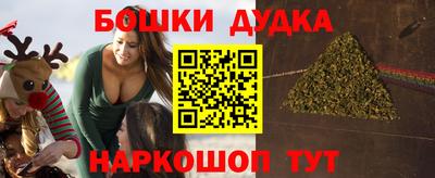 индика Владикавказ