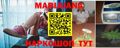 индика Владикавказ