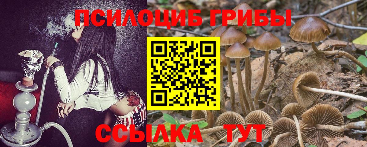Галлюциногенные грибы Psilocybe  дарнет шоп  Дзержинск  Вход с VPN  Псилоцибиновые грибы ЛСД 